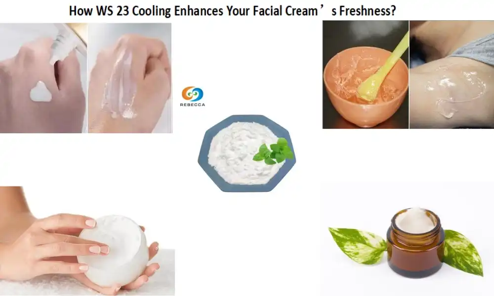 How WS 23 Cooling Enhances Your Facial Cream’s Freshness?